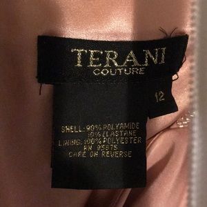 Beautiful pale pink dress by terani authentic